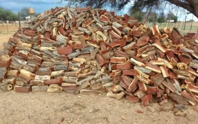 الحطب المصري