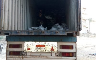 شركات الفحم في مصر 2025: الريادة والتطور