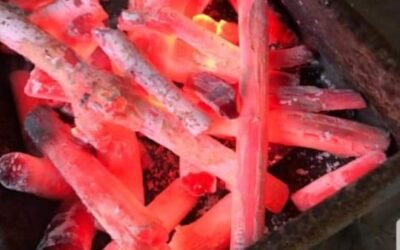 فحم السنديان