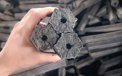 مصنع فحم مضغوط